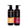 Conqueror Argan