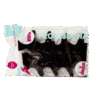 Sectioning Clips – Butterfly Style